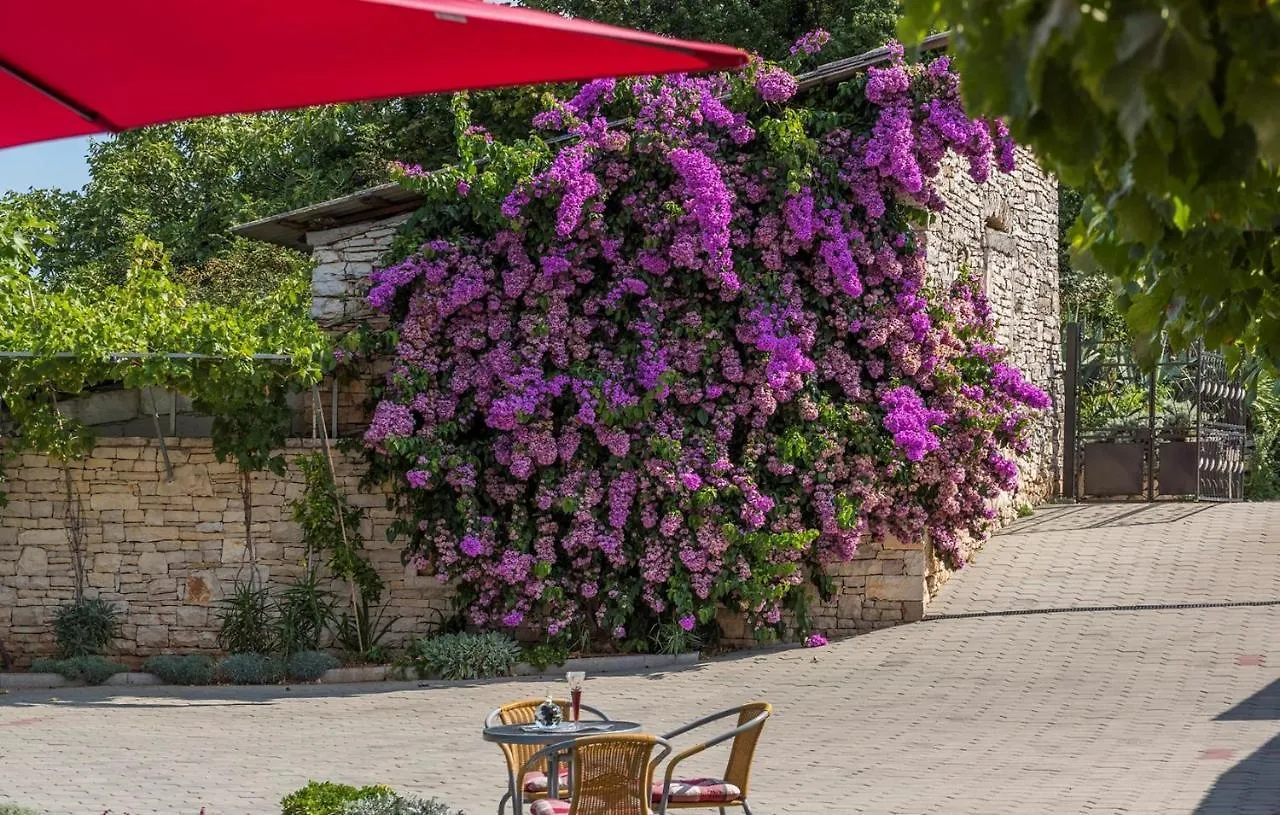 Apartments Ana Vodnjan Guest house